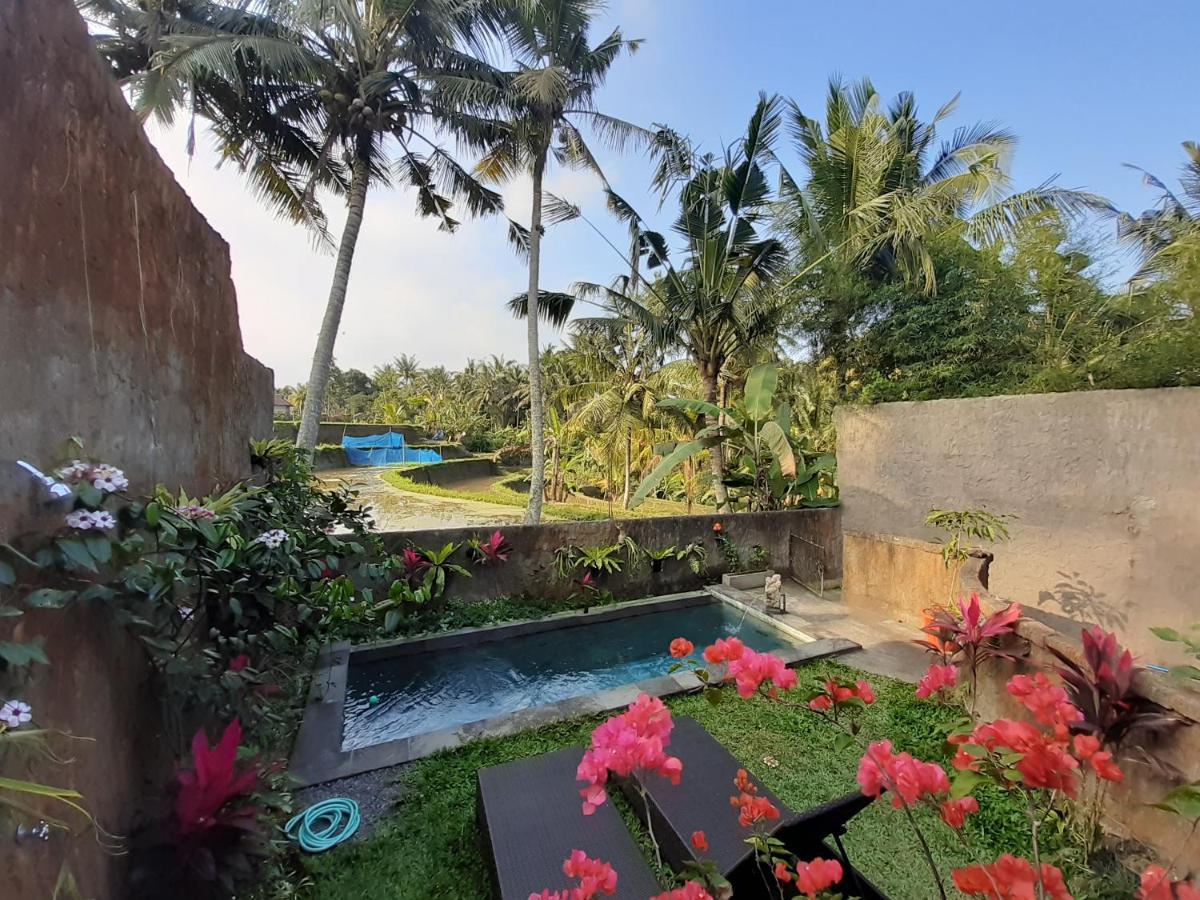 Hidden Point Villa Ubud  Ngoại thất bức ảnh