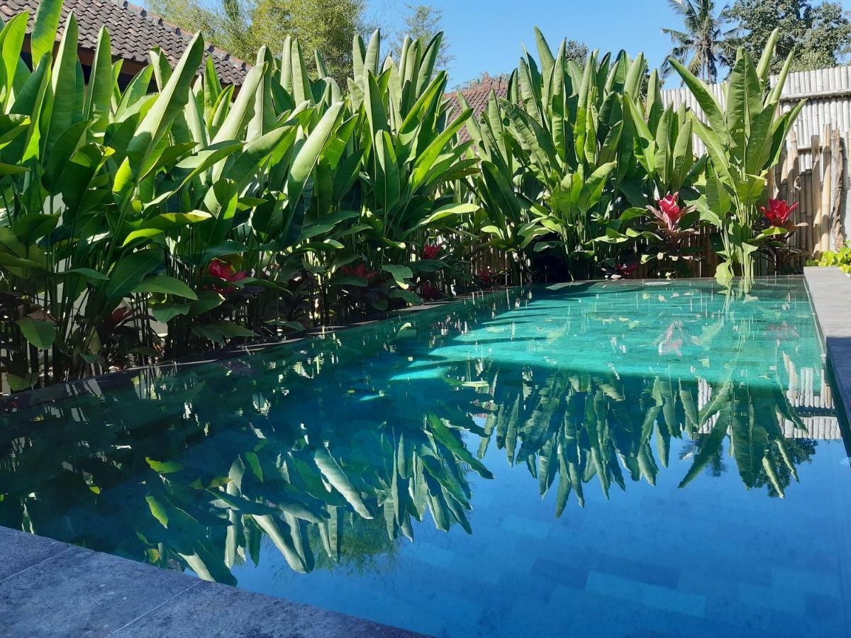 Hidden Point Villa Ubud  Ngoại thất bức ảnh