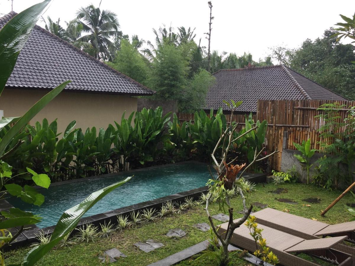 Hidden Point Villa Ubud  Ngoại thất bức ảnh