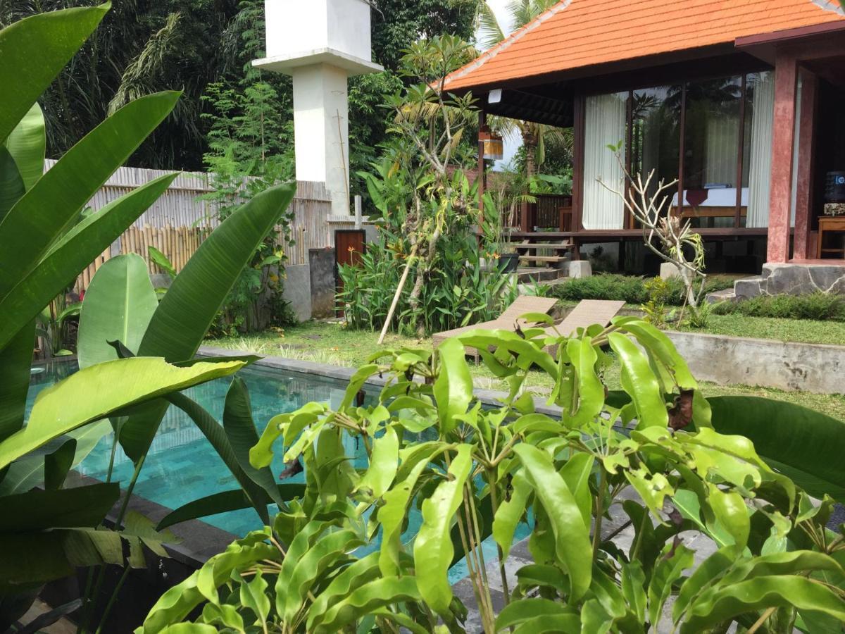 Hidden Point Villa Ubud  Ngoại thất bức ảnh